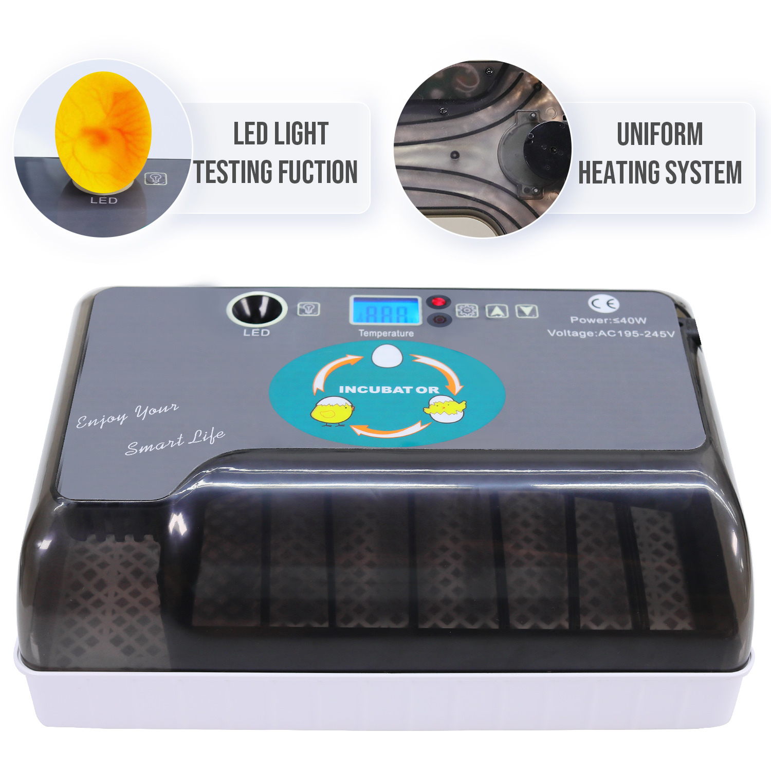 Flyline 12 Egg Incubator with Auto Turner for Chicken Duck Quail Bird